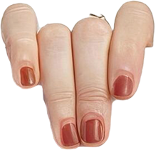 https://lifebypedram.com/wp-content/uploads/2025/08/about-me-hand-left.png