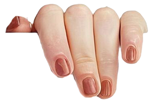 https://lifebypedram.com/wp-content/uploads/2025/08/about-me-hand-right.png